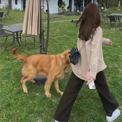 无风的时光